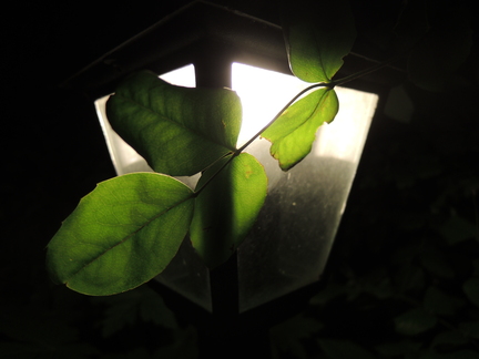 20120915 013503
